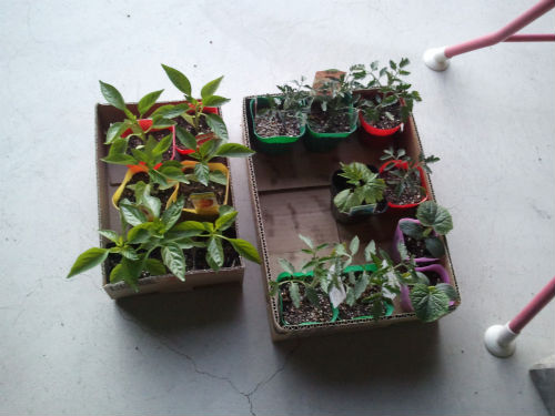 C360_2011-04-04 18-18-50.jpg