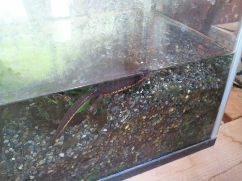 C360_2011-04-06 15-26-14.jpg