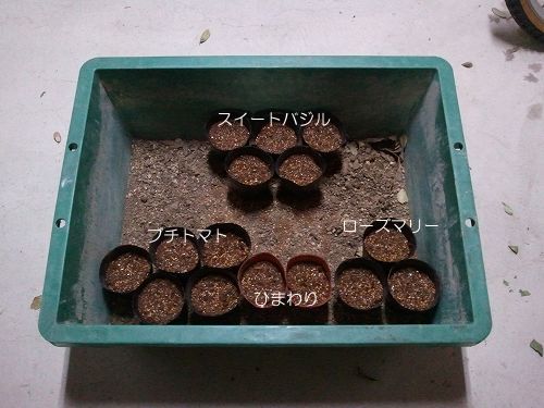 C360_2011-04-08 20-26-18.jpg