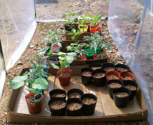 C360_2011-04-09 14-25-45-1.jpg