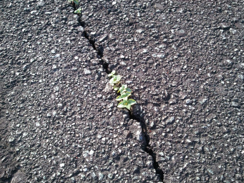 C360_2011-04-10 16-26-02.jpg